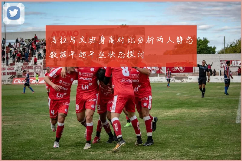 马拉与文班身高对比分析两人静态数据平起平坐状态探讨